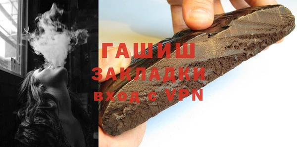 индика Алексин