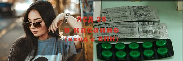 хмурый Абаза