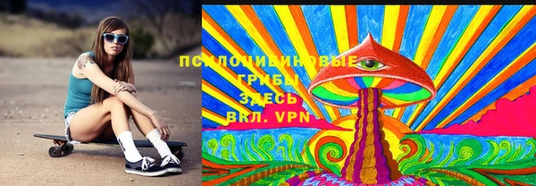 хмурый Абаза