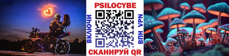 Галлюциногенные грибы MAGIC MUSHROOMS  Кохма 